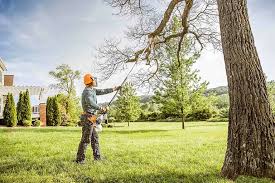 Best Tree Removal Services  in Red Hill, SC